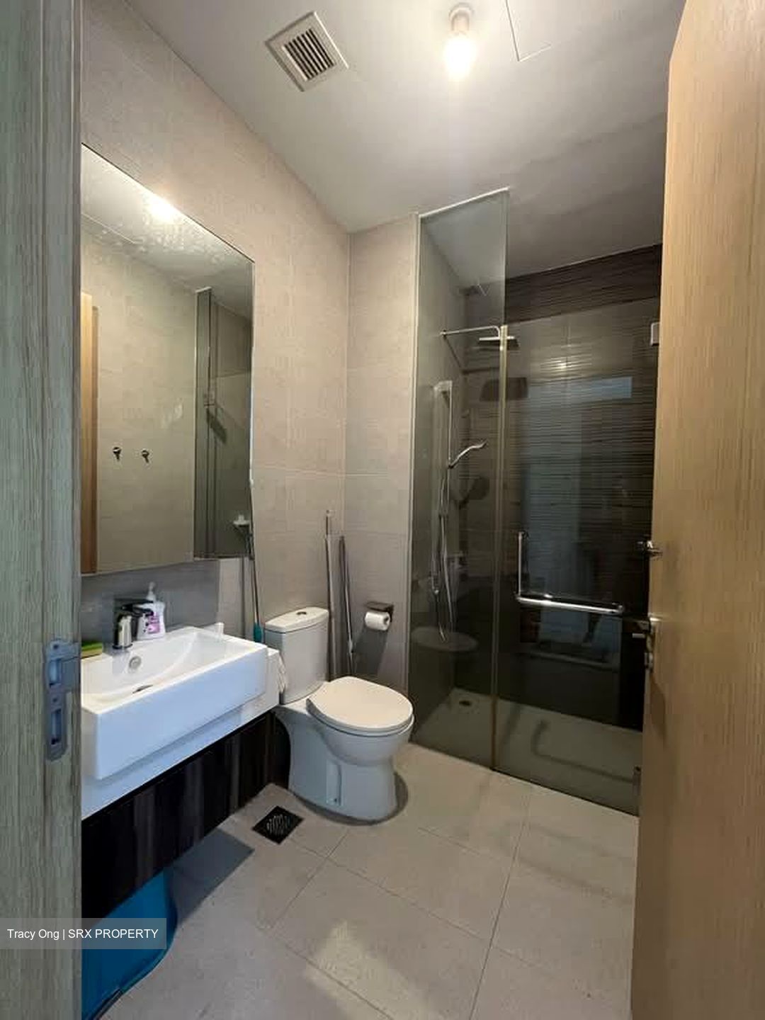 Kap Residences (D21), Apartment #598257071